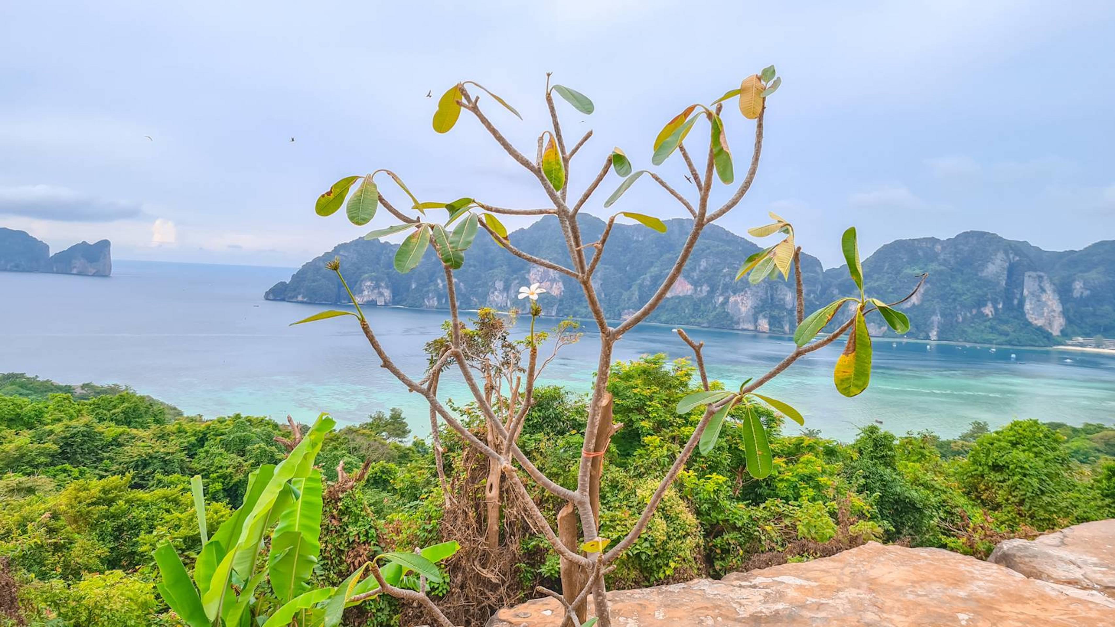 Phi Phi Mountain Beach Resort Sha Certified Exterior photo